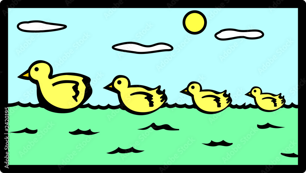 duck family swimming in a lake duck family swimming in a lake
