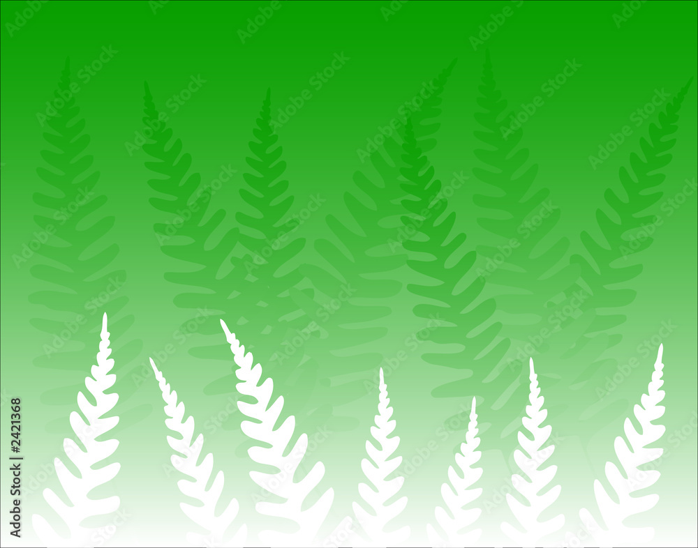 Obraz premium green ferns