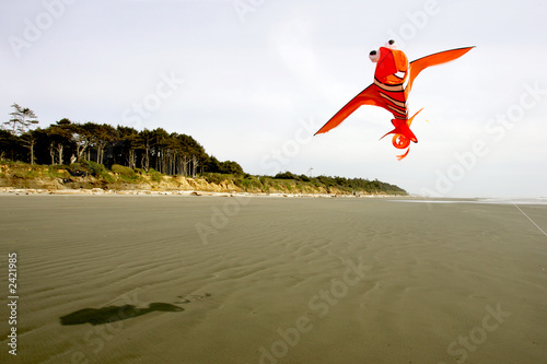 kite