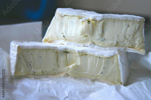 mildew cheese
