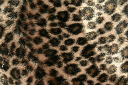 panther pattern #2