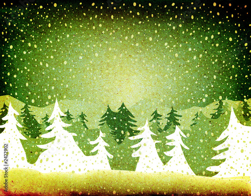 fir forest