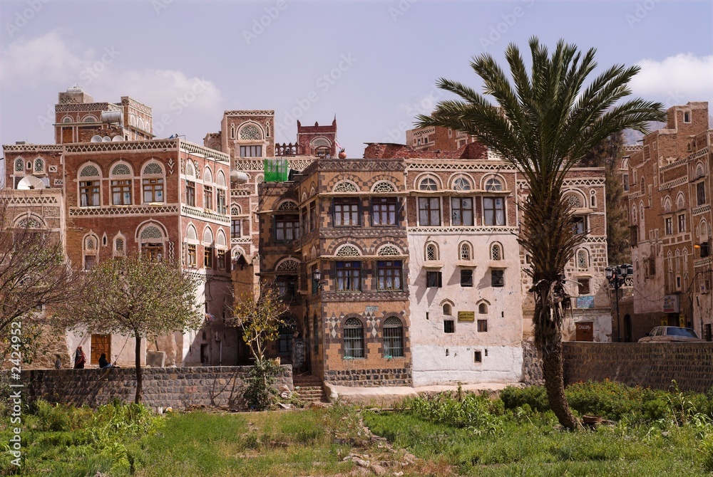 palm and old building of sanaa