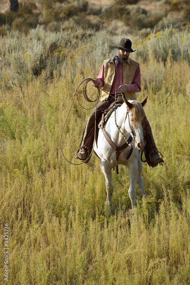 cowboy on his horse in field