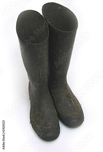 wellington boots photo