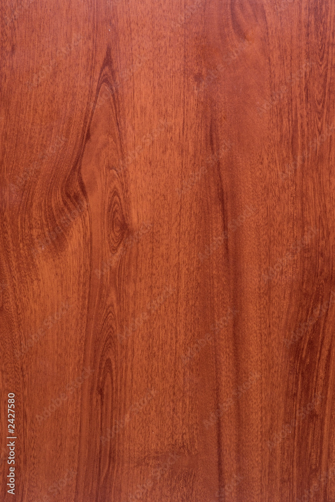 Obraz premium wood texture