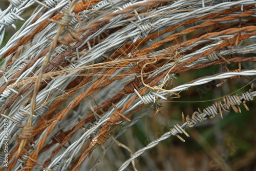 barb wire
