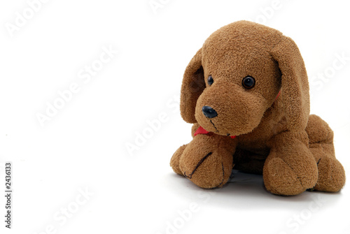 small doogy toy with flower