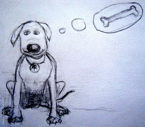 hund traeummt von knochen