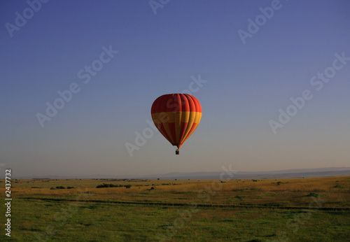 hot air balloon © Deborah Benbrook