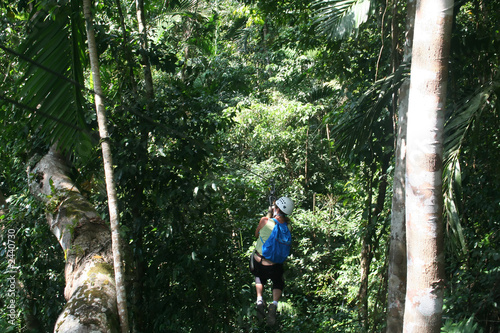 jamaica canopy tour