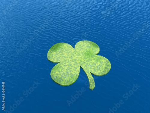 shamrock