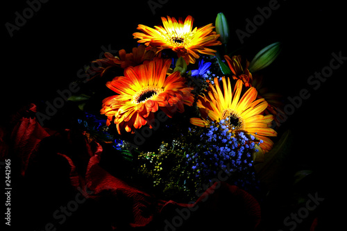 fiori