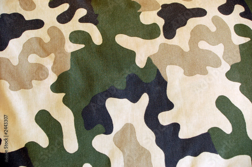 camouflage pattern #4
