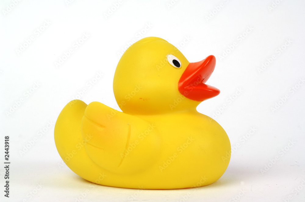 yellow plastic duck yellow plastic duck