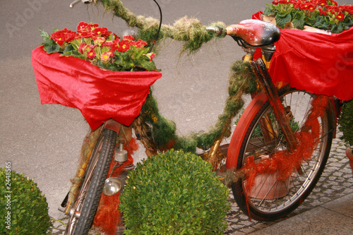 blumen am fahrrad