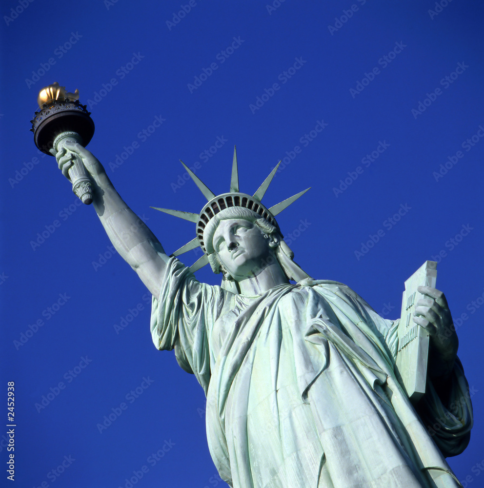 Fototapeta premium statue of liberty
