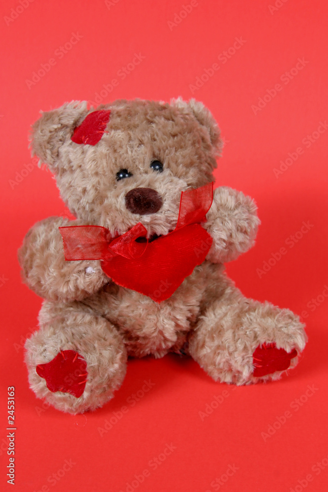 teddy bear on red background teddy bear on red background