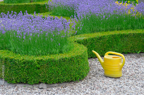 garden with watering