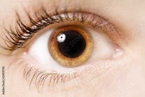eye photo
