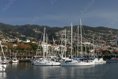 madeira, funchal, harbor
