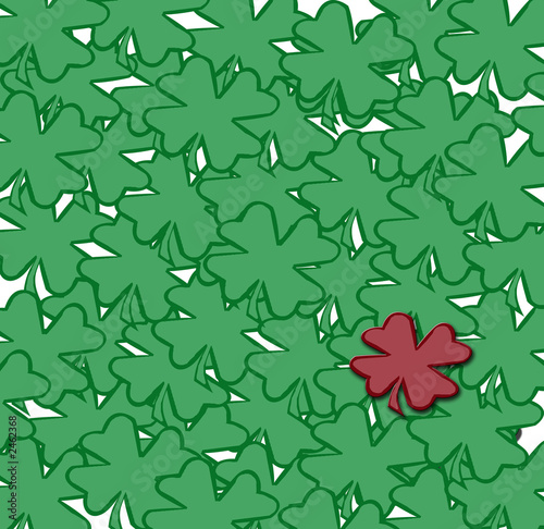 shamrock bg2 photo