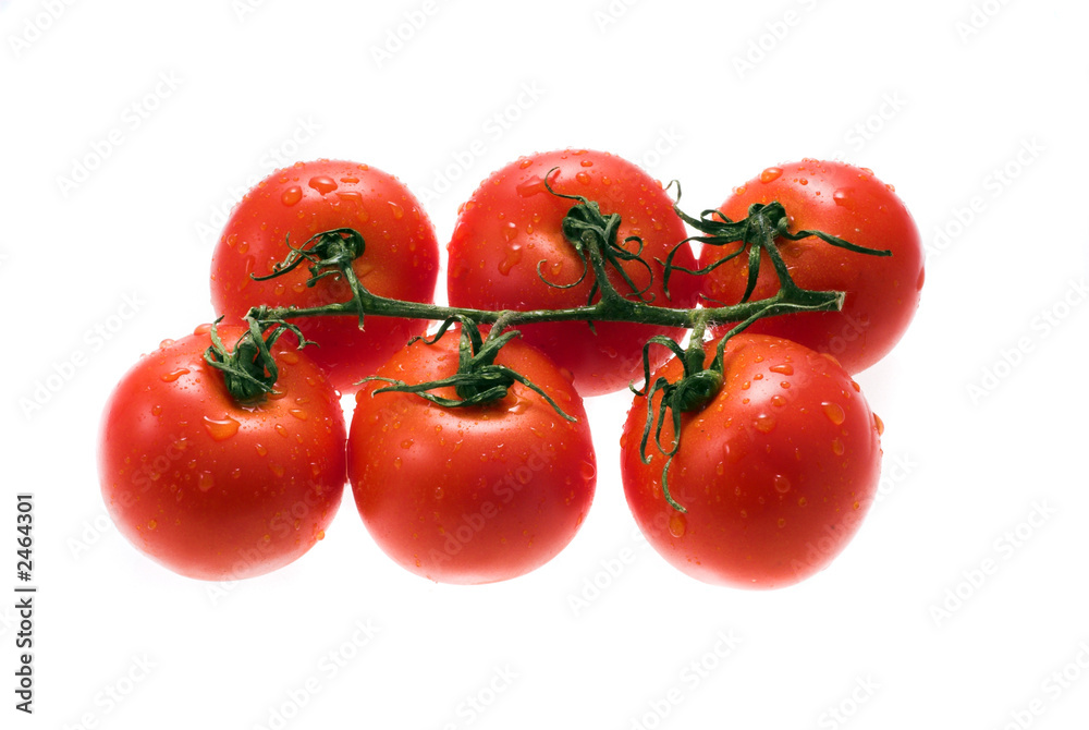 tomatos tomatos