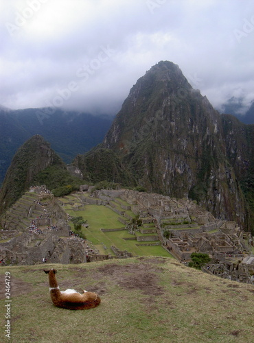 machu pichu