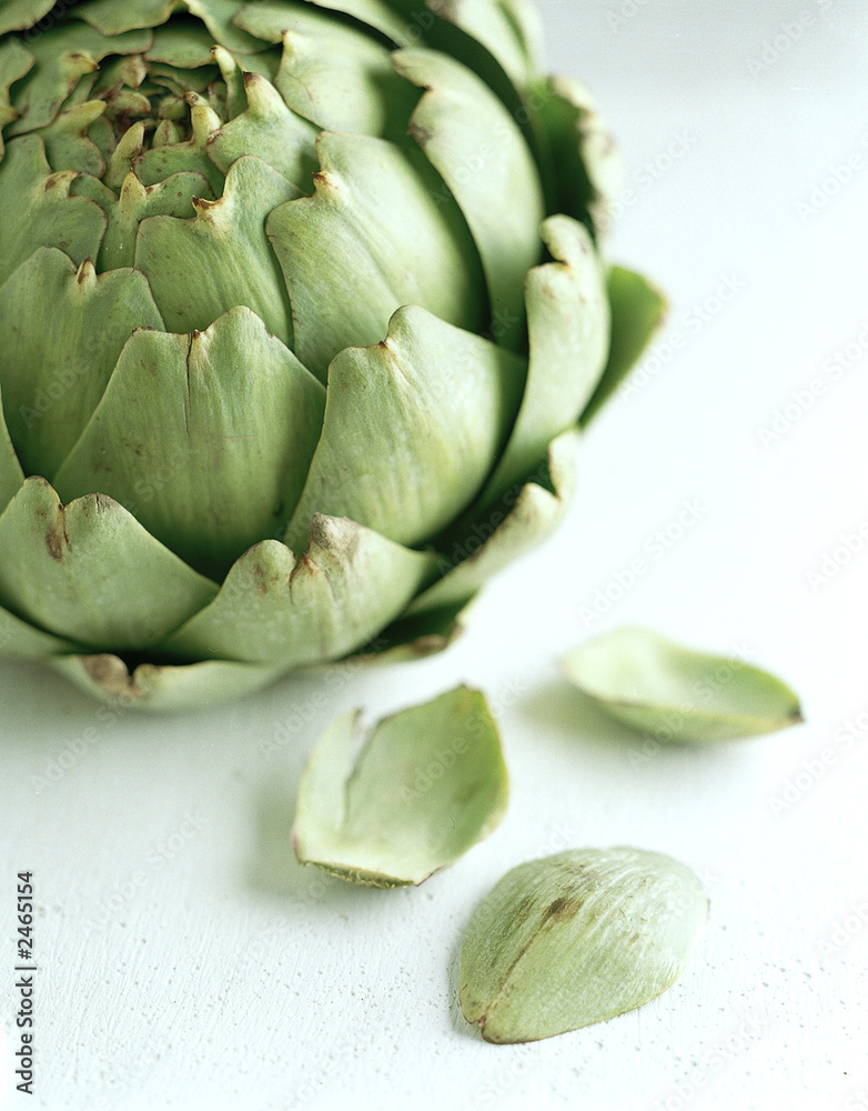 Fototapeta premium artichoke