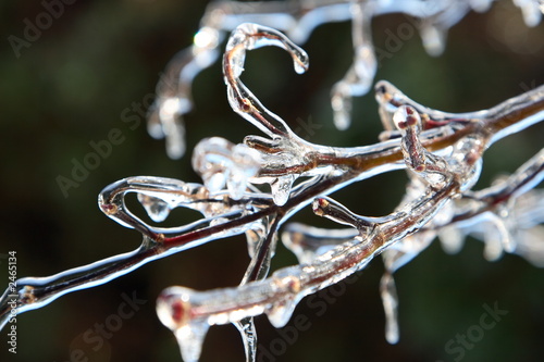 icicles