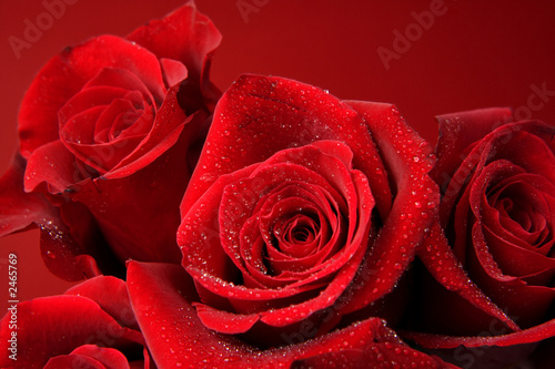 hintergrund mit roten rosen photo