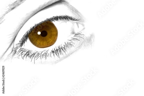 artwork of an brown-yellow eye