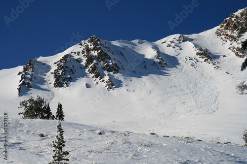 fresh powder