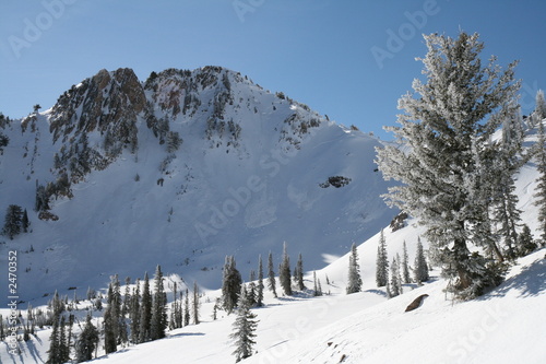 fresh snow slides