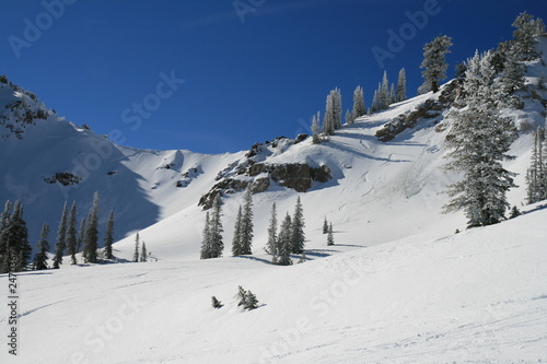 ski resort fresh tracks