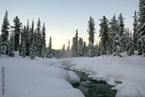winter wonderland