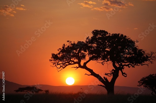 african sunset