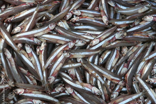friture