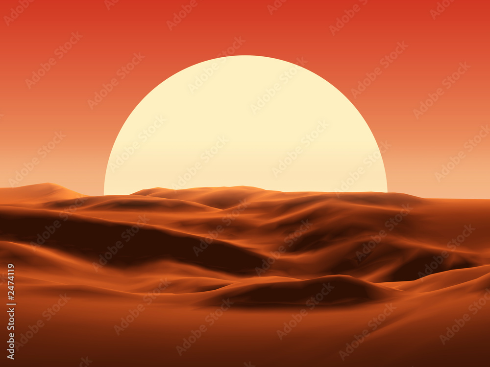 sunset in desert - obrazy, fototapety, plakaty 