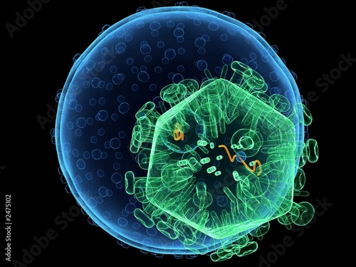 Photos hiv-virus
