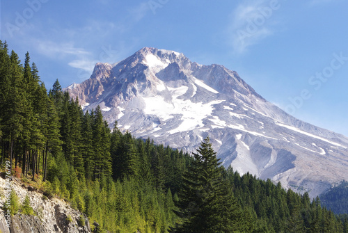 mt hood and evergreens