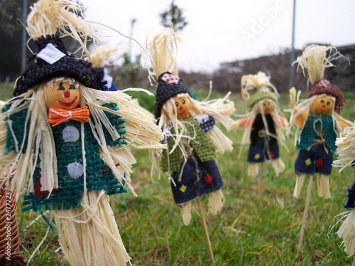 scarecrows in the field
