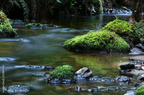 tranquil river
