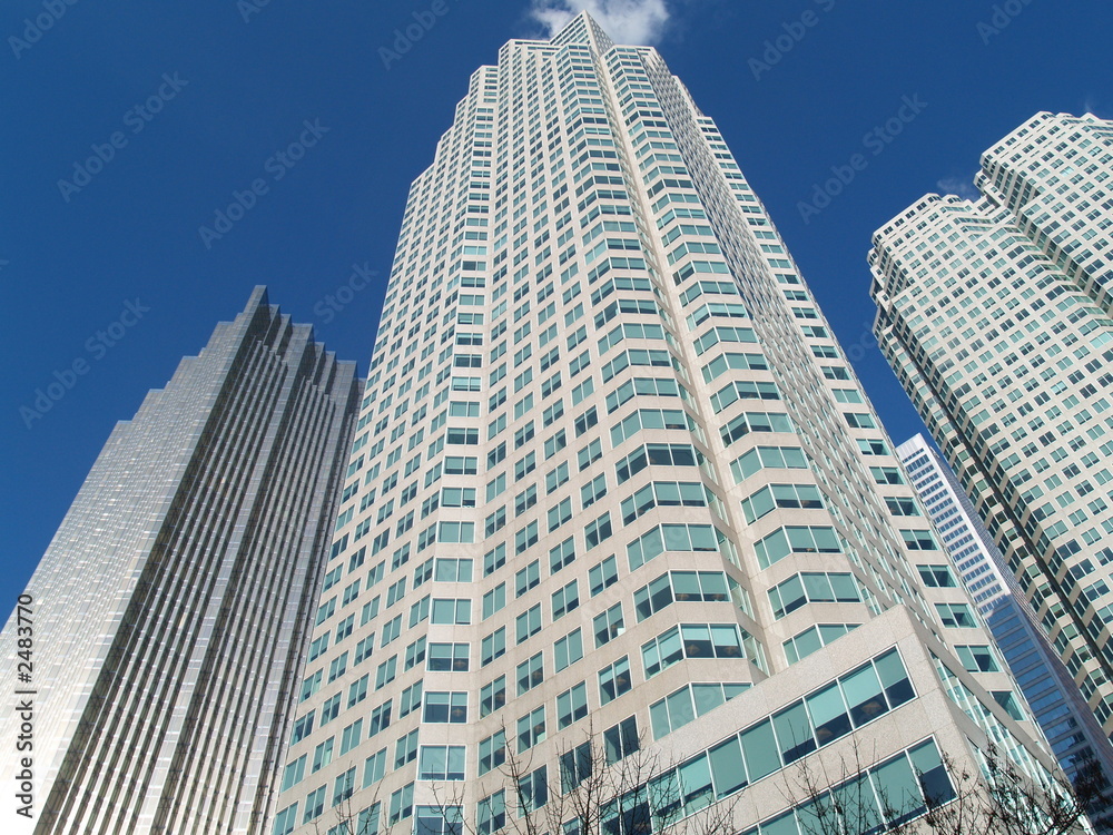 Obraz premium financial building