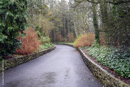 country road