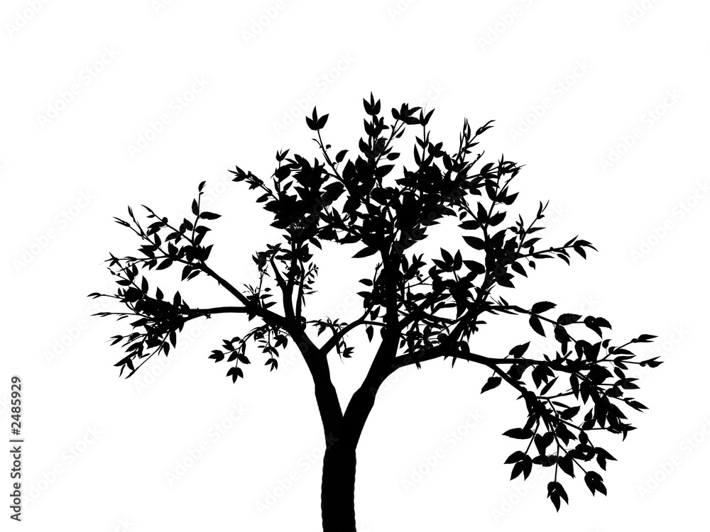 Obraz premium tree