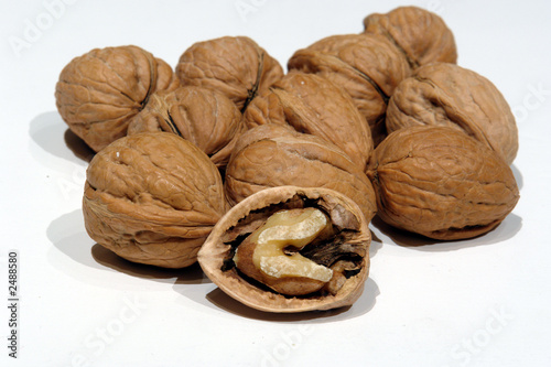 walnuts on white photo