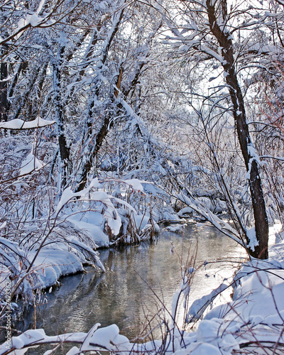 winter landscape