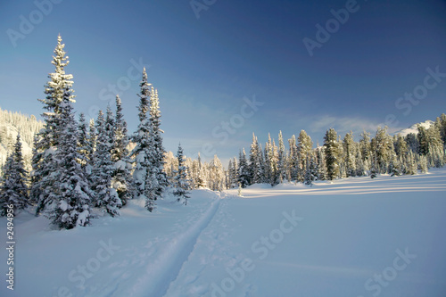 winter forest in mountains, ski-track