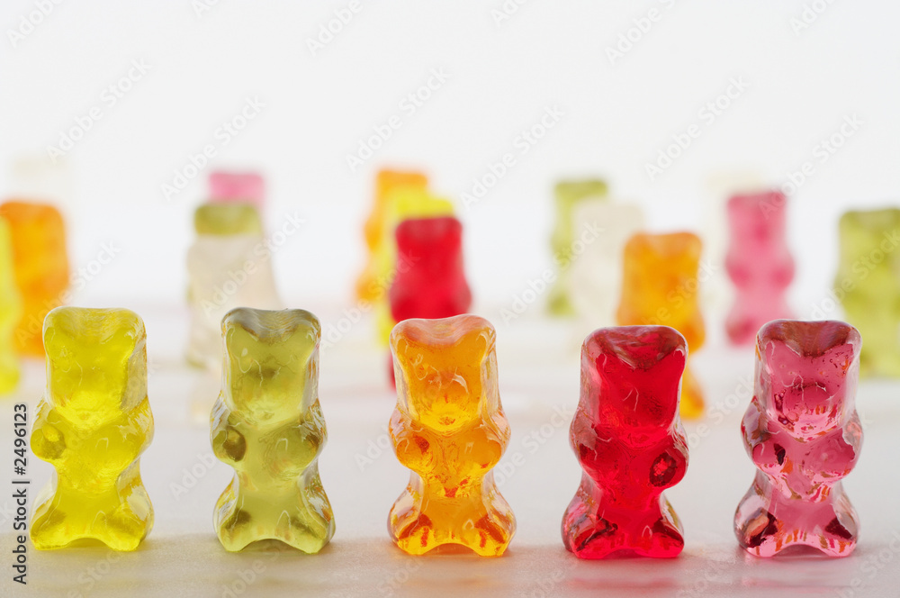 © Adam Gryko - bears